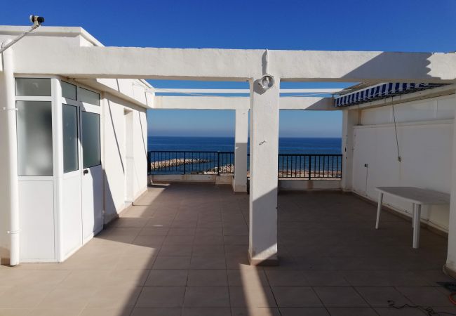Terraza Terraza