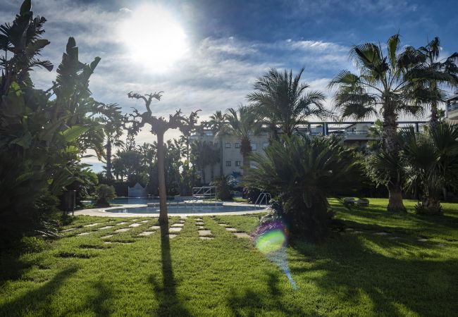 Vistas del jardín Vistas del jardín