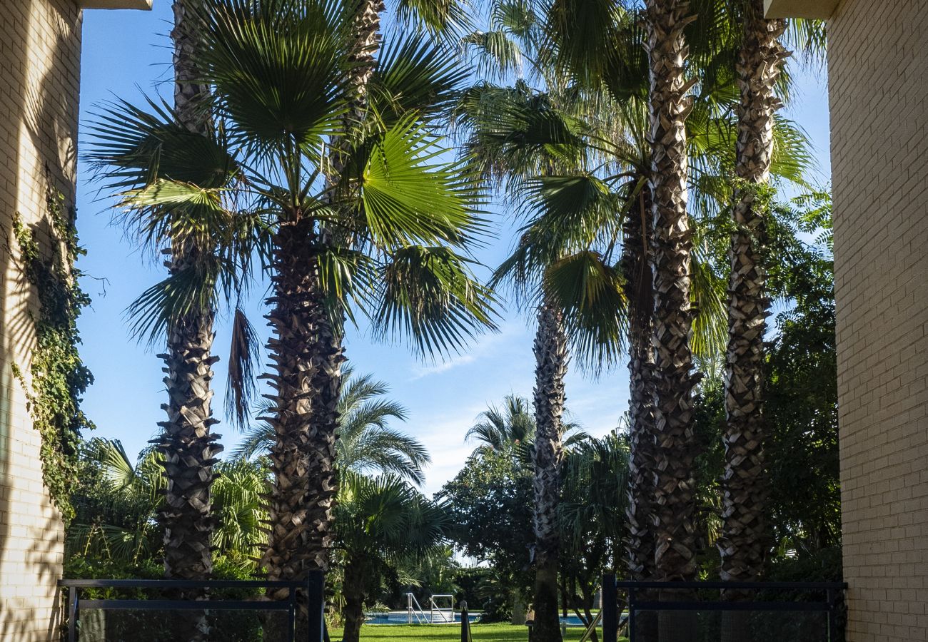 Vistas del jardín