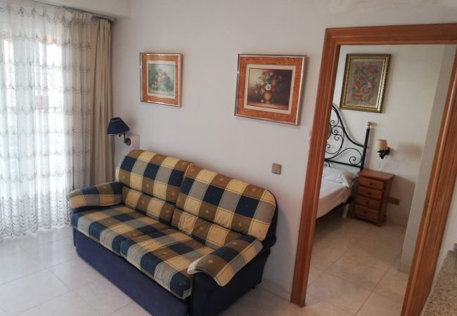 Apartamento en Playa de Gandía - 1.Infante E6-12º Apartamento en Playa de Gandía - 1.Infante E6-12º