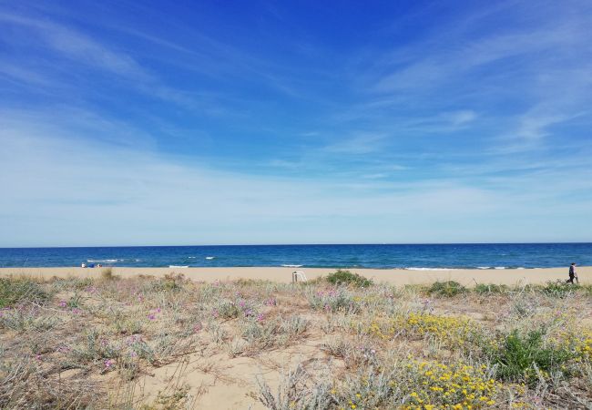 Vistas desde la playa Vistas desde la playa