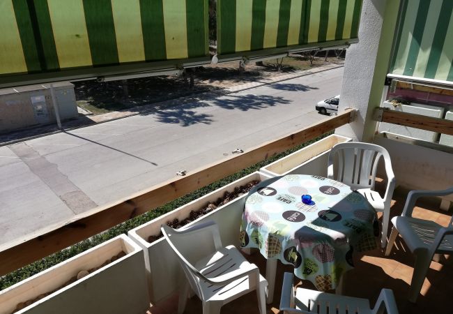 Terraza Terraza