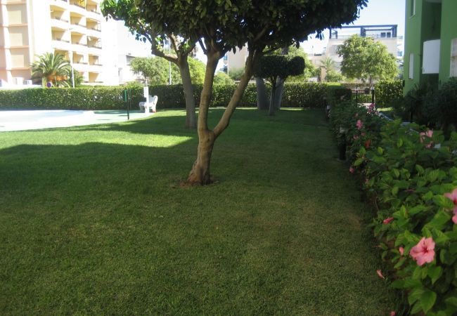 Jardín Jardín