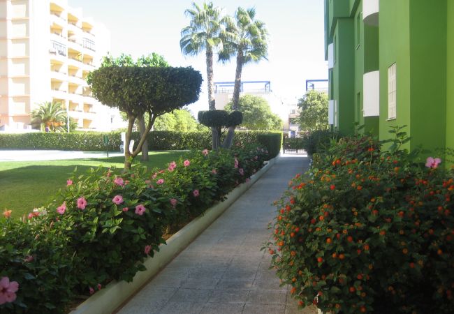 Jardín Jardín