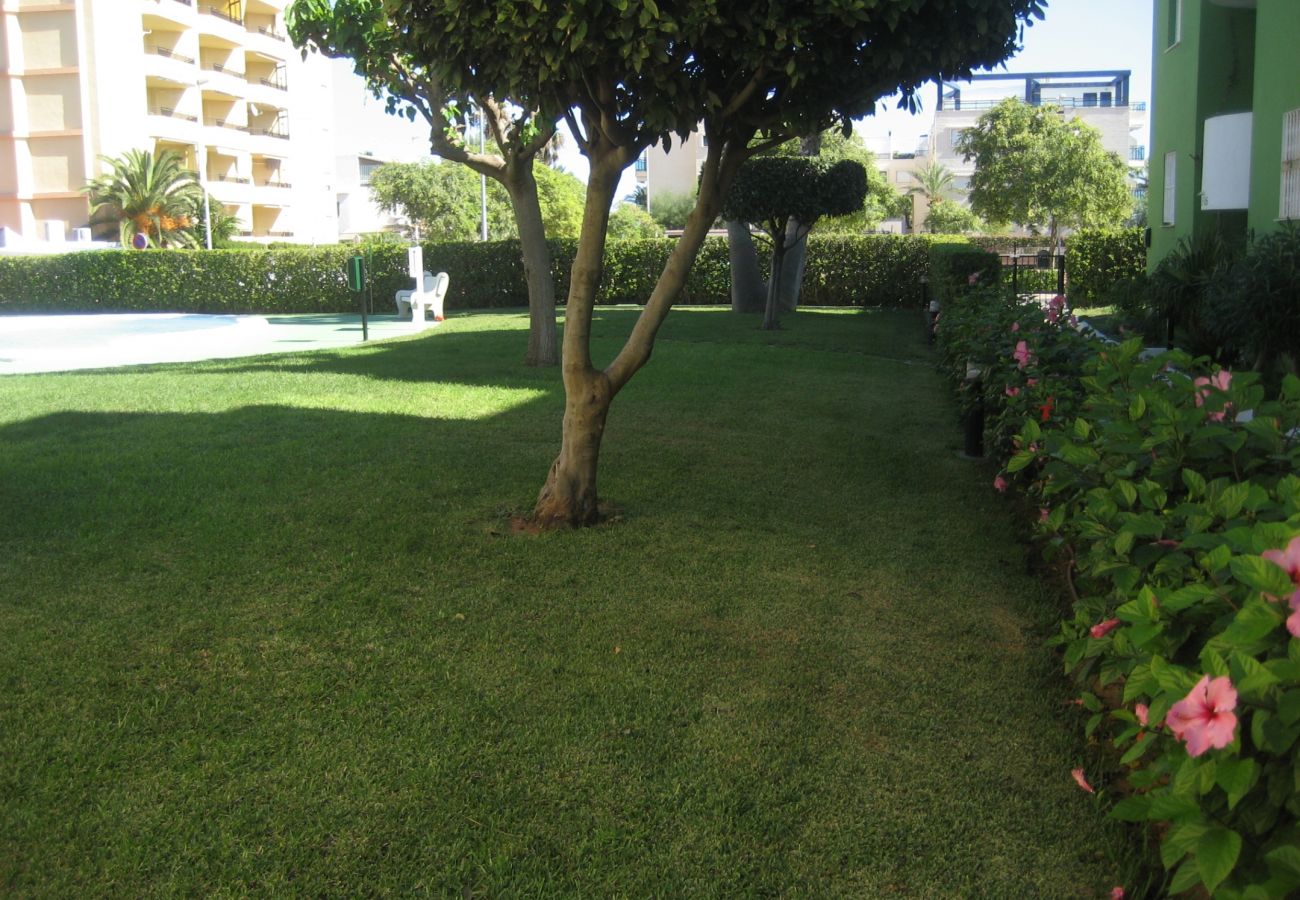 Jardín Jardín