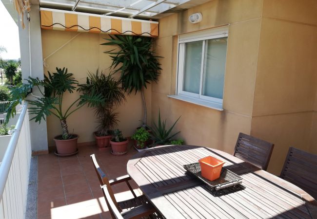 Terraza Terraza