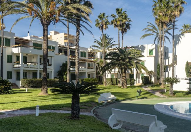 Apartamento en Xeraco Playa - Deltamar 30 Apartamento en Xeraco Playa - Deltamar 30