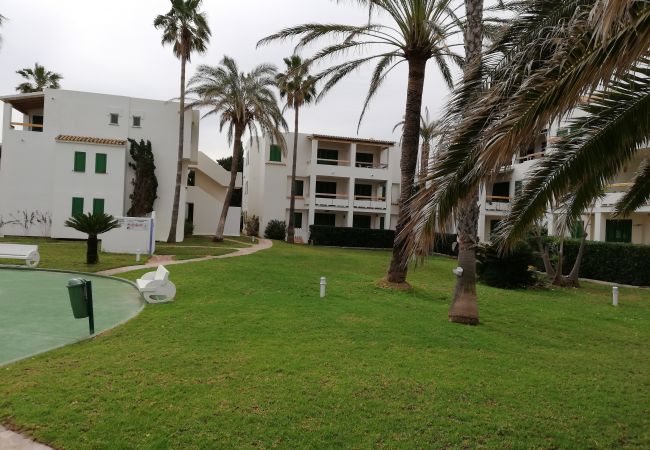 Apartamento en Xeraco Playa - Deltamar 30 Apartamento en Xeraco Playa - Deltamar 30