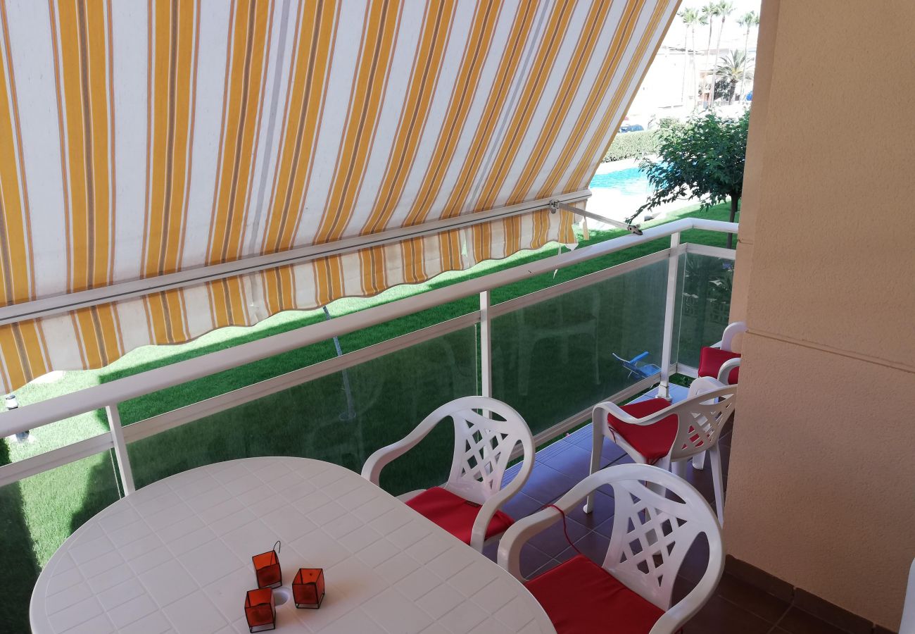 Terraza