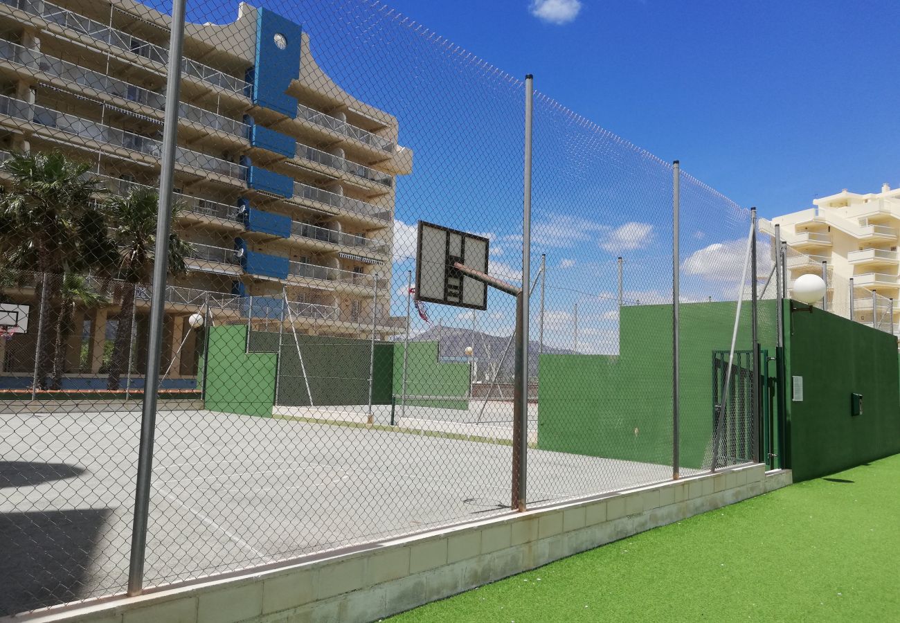 Apartamento en Xeraco Playa - 4.Naranjos II esc.2 7º pta.14 ático