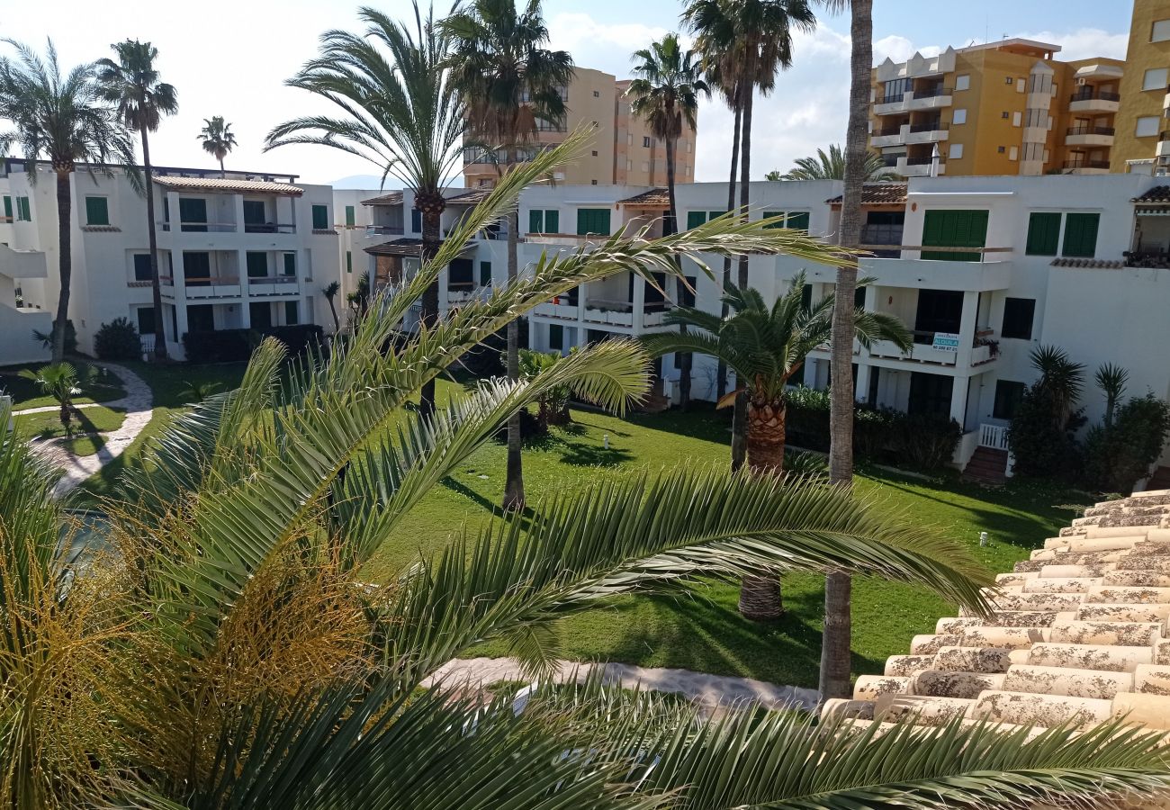 Apartamento en Xeraco Playa - Deltamar 14