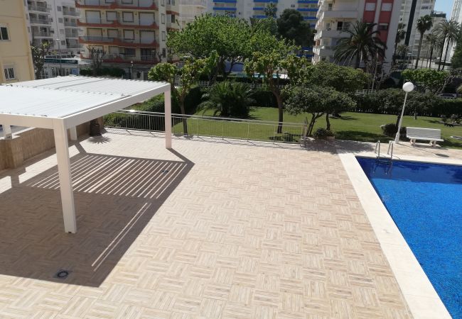 Apartamento en Playa de Gandía - 1.Don Ximo 1º pta 1 (garaje 61) Apartamento en Playa de Gandía - 1.Don Ximo 1º pta 1 (garaje 61)