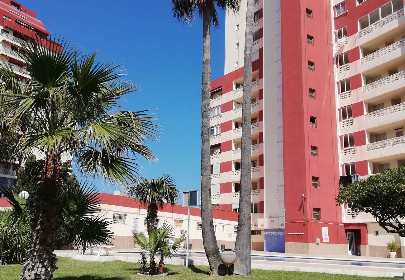Apartamento en Playa de Gandía - 1.Don Ximo 1º pta 1 (garaje 61)