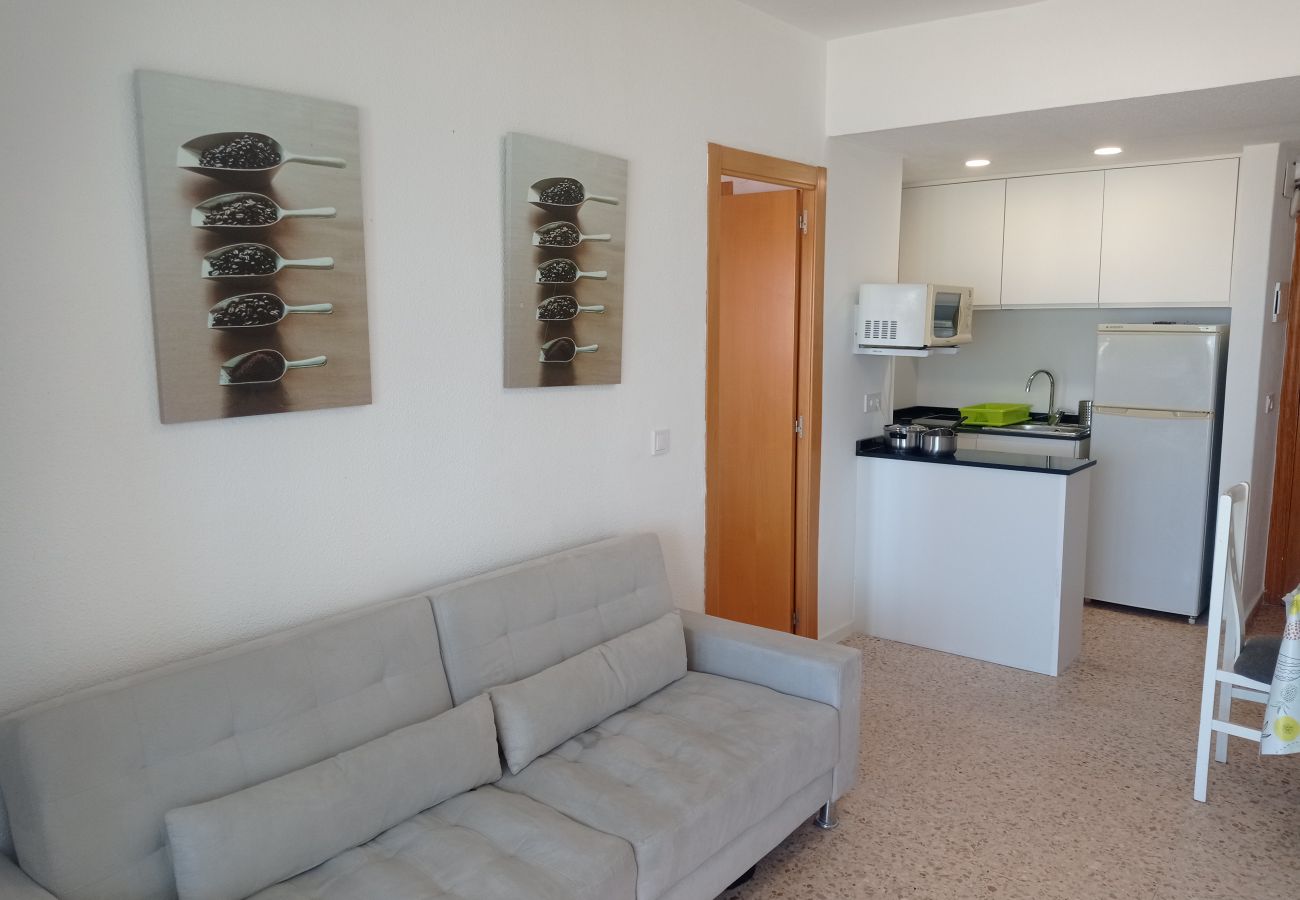 Apartamento en Playa de Gandía - 1.Infante E5-11º