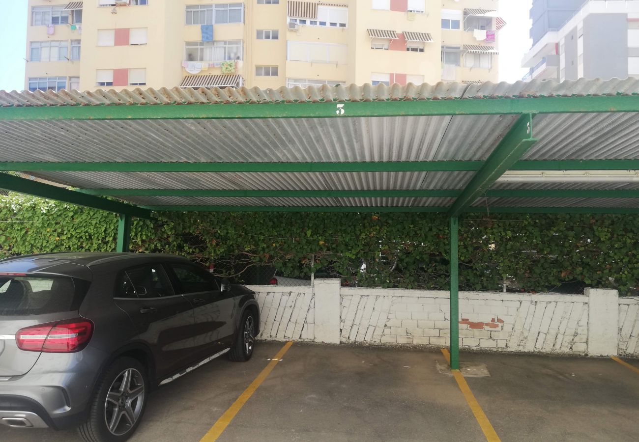 Apartamento en Playa de Gandía - 1.CANCUN III ESC.IV 7ºA