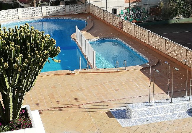 Apartamento en Playa de Gandía - 1.Bonaire E3 - 2º