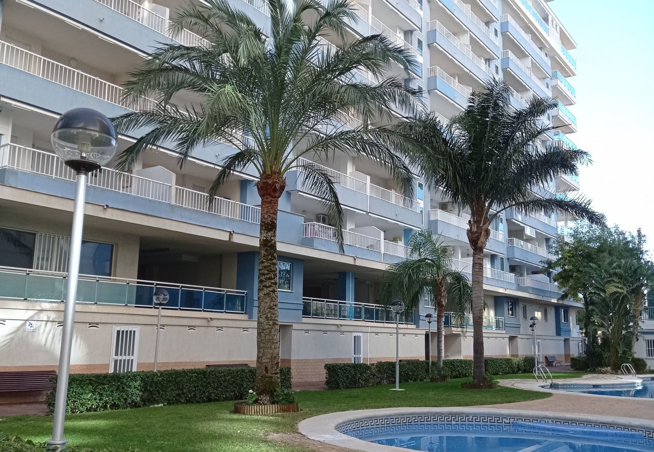 Apartamento en Playa de Gandía - 1.Palmeras III Bl. I esc. 5 5ºJ