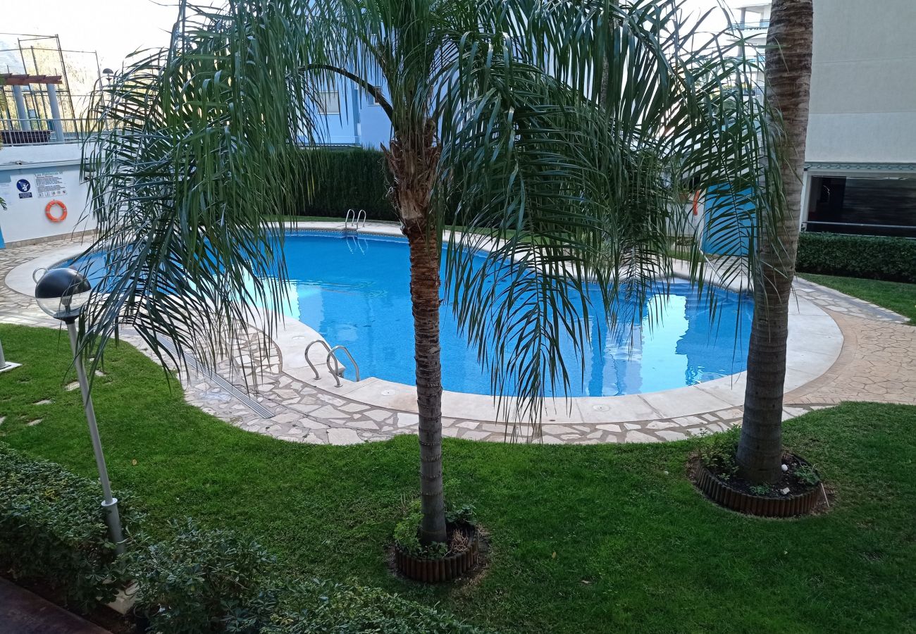 Apartamento en Playa de Gandía - 1.Palmeras III Bl. I esc. 5 5ºJ