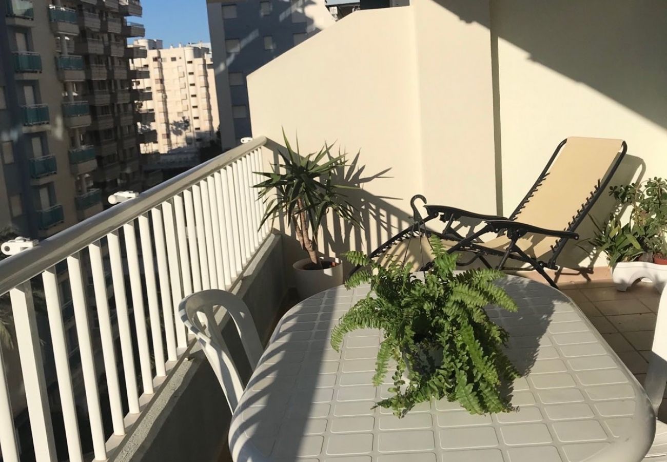 Apartamento en Playa de Gandía - 1.Palmeras III Bl. I esc. 5 5ºJ