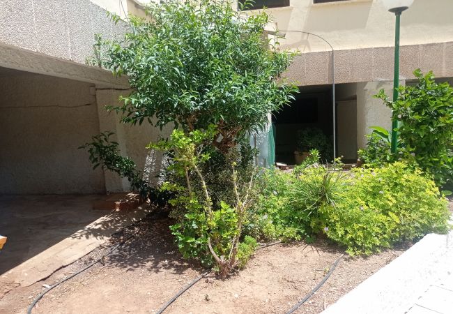 Apartamento en Playa de Gandía - 1.Albatros esc.B 10 ptas.19 Apartamento en Playa de Gandía - 1.Albatros esc.B 10 ptas.19