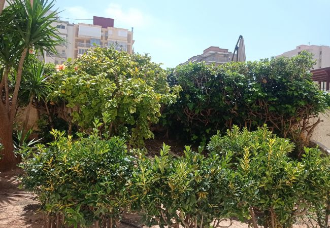 Apartamento en Playa de Gandía - 1.Albatros esc.B 10 ptas.19 Apartamento en Playa de Gandía - 1.Albatros esc.B 10 ptas.19