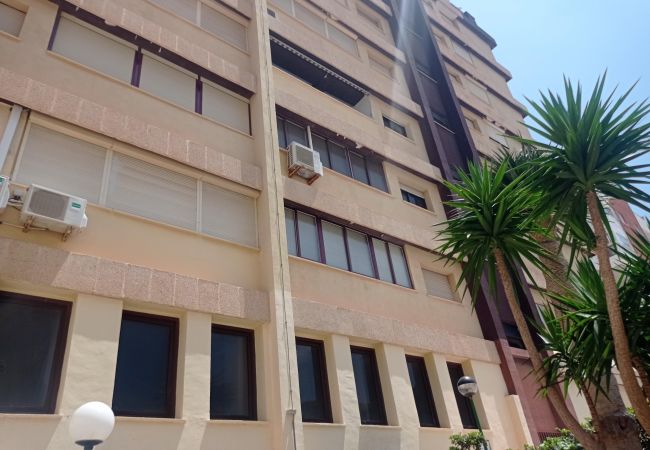 Apartamento en Playa de Gandía - 1.Albatros esc.B 10 ptas.19 Apartamento en Playa de Gandía - 1.Albatros esc.B 10 ptas.19