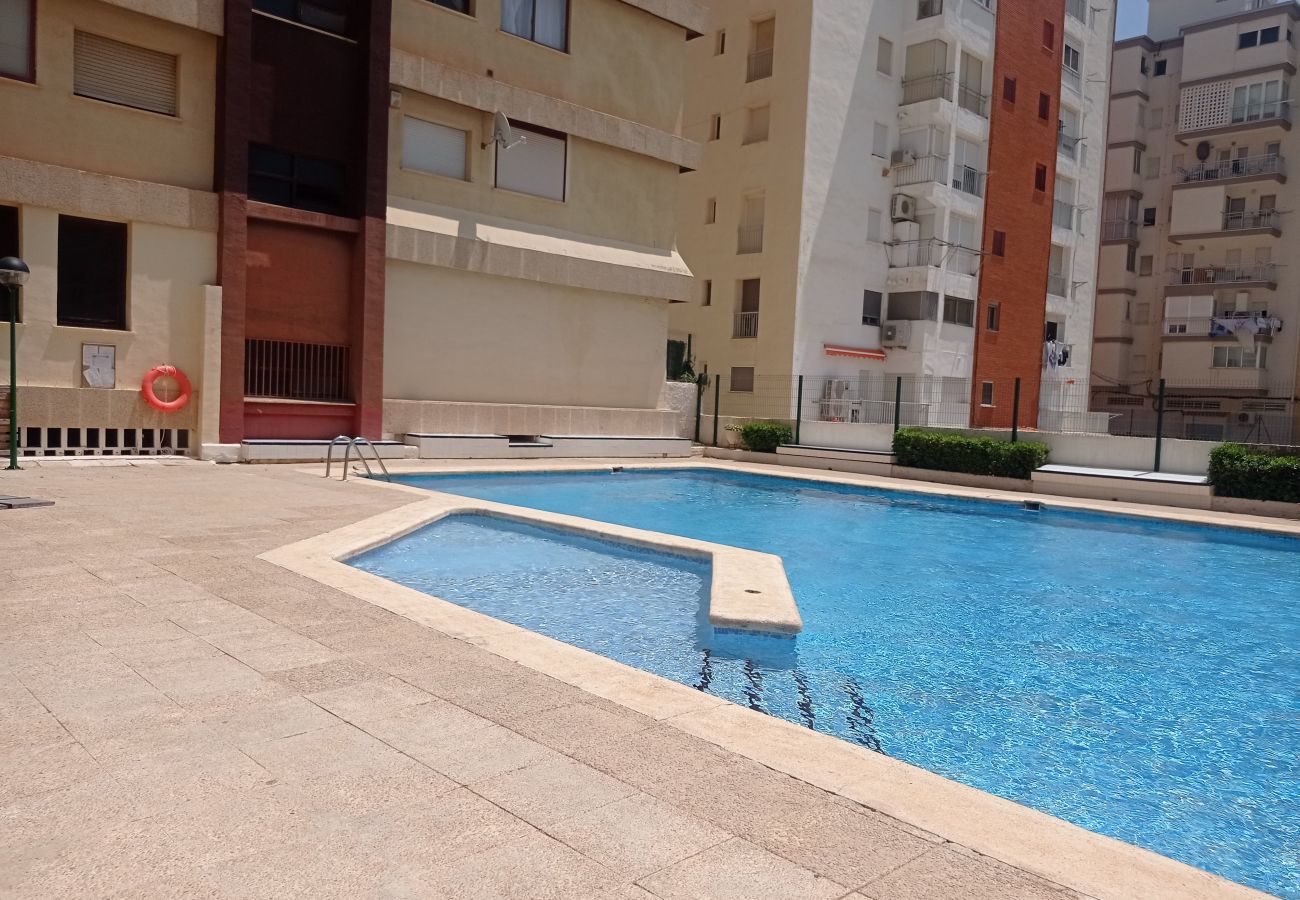 Apartamento en Playa de Gandía - 1.Albatros esc.B 10 ptas.19