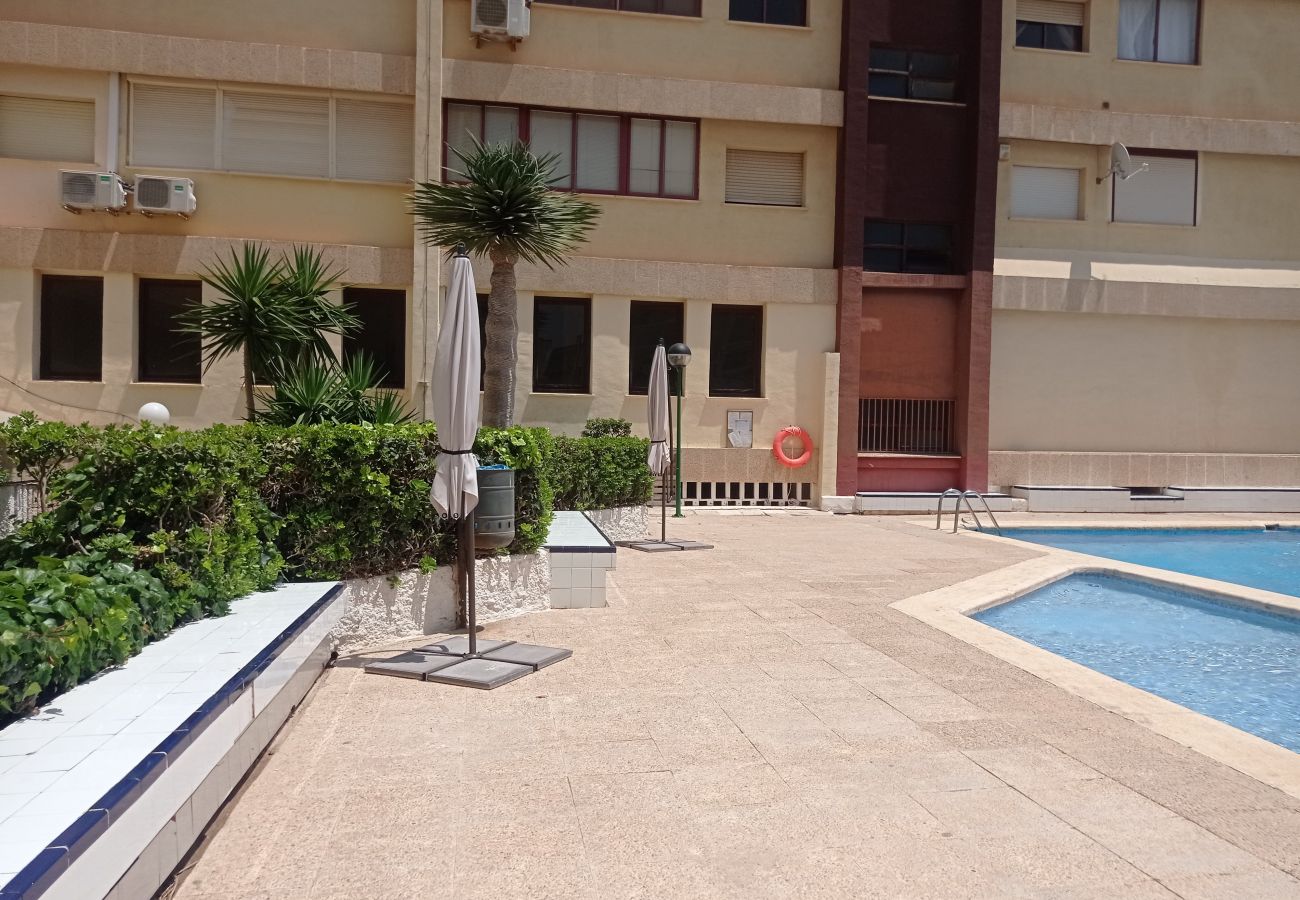 Apartamento en Playa de Gandía - 1.Albatros esc.B 10 ptas.19