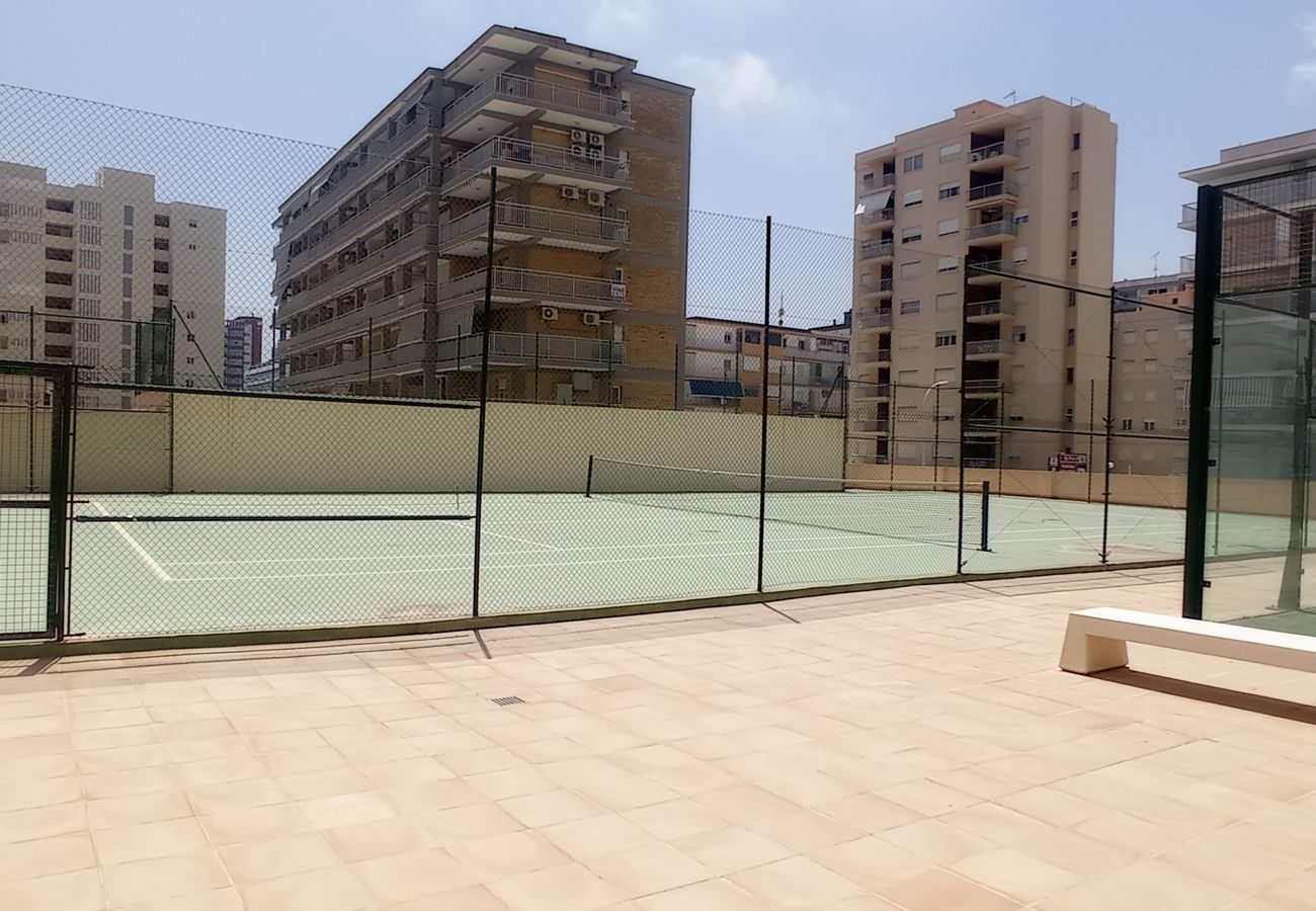 Apartamento en Playa de Gandía - 1.Albatros esc.B 10 ptas.19