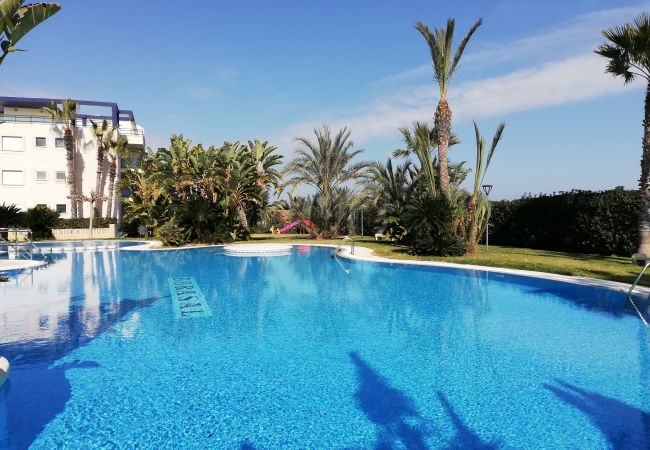 Apartamento en Xeraco Playa - Dorasal bl. A esc.I bajo pta 1 (garaje 54) Apartamento en Xeraco Playa - Dorasal bl. A esc.I bajo pta 1 (garaje 54)