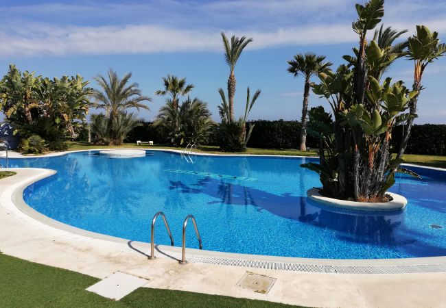 Apartamento en Xeraco Playa - Dorasal bl. A esc.I bajo pta 1 (garaje 54) Apartamento en Xeraco Playa - Dorasal bl. A esc.I bajo pta 1 (garaje 54)