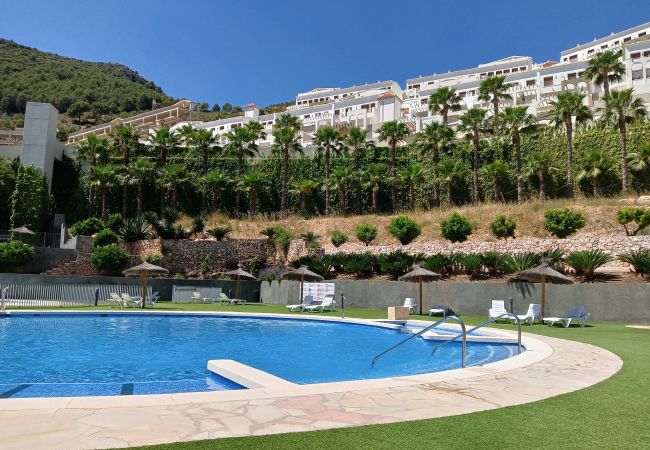 Apartamento en Xeresa - 2.Xeresa del Monte bl.D11 esc.15 4º pta.85 Apartamento en Xeresa - 2.Xeresa del Monte bl.D11 esc.15 4º pta.85