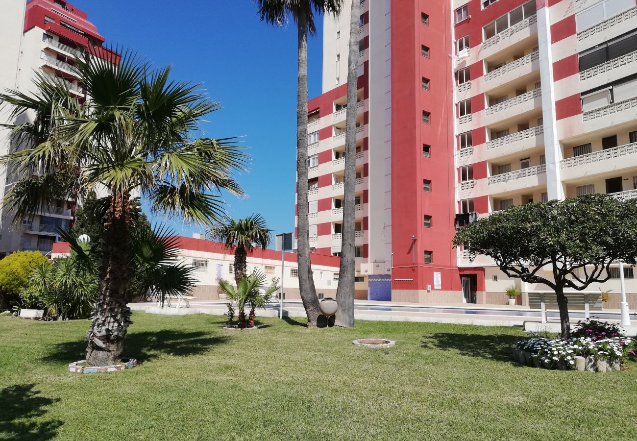 Apartamento en Playa de Gandía - 1.Don Ximo 13º pta 68