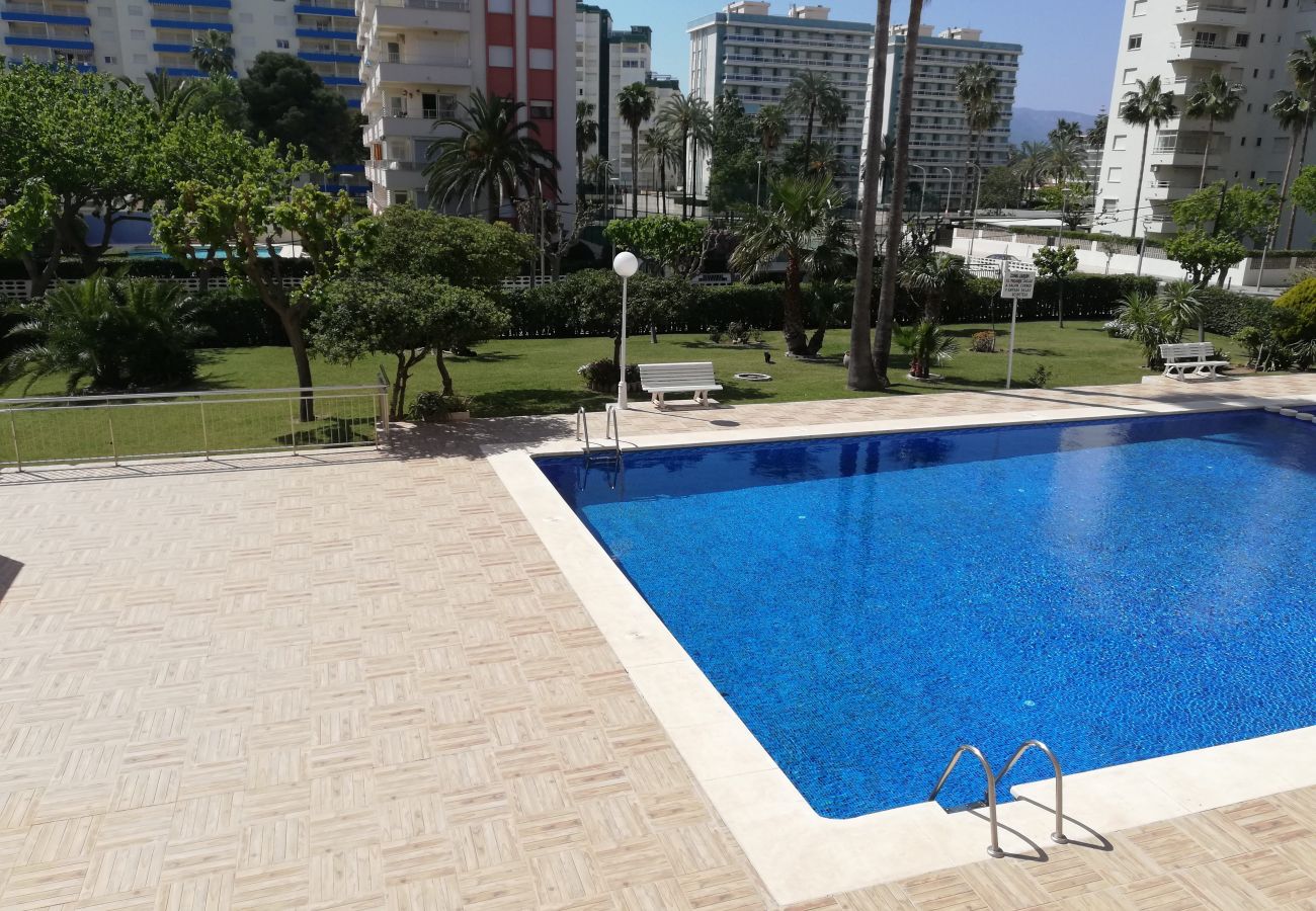 Apartamento en Playa de Gandía - 1.Don Ximo 13º pta 68