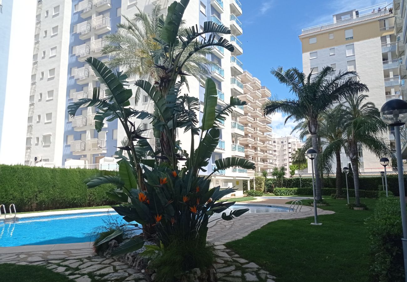 Apartamento en Playa de Gandía - 1.Palmeras III bl.II esc.1 4º B