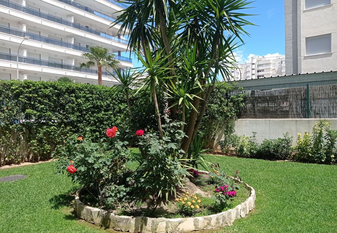 Apartamento en Playa de Gandía - 1.Palmeras III bl.II esc.1 4º B