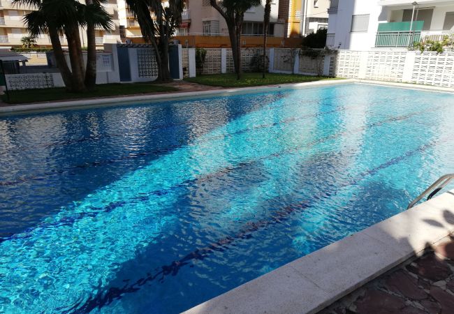 Apartamento en Playa de Gandía - 1.Manacor esc.I 8º pta.15 Apartamento en Playa de Gandía - 1.Manacor esc.I 8º pta.15