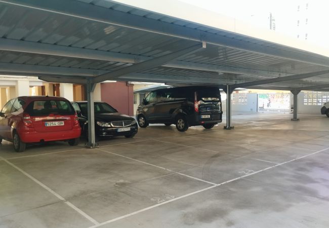 Apartamento en Playa de Gandía - 1.Manacor esc.I 8º pta.15 Apartamento en Playa de Gandía - 1.Manacor esc.I 8º pta.15