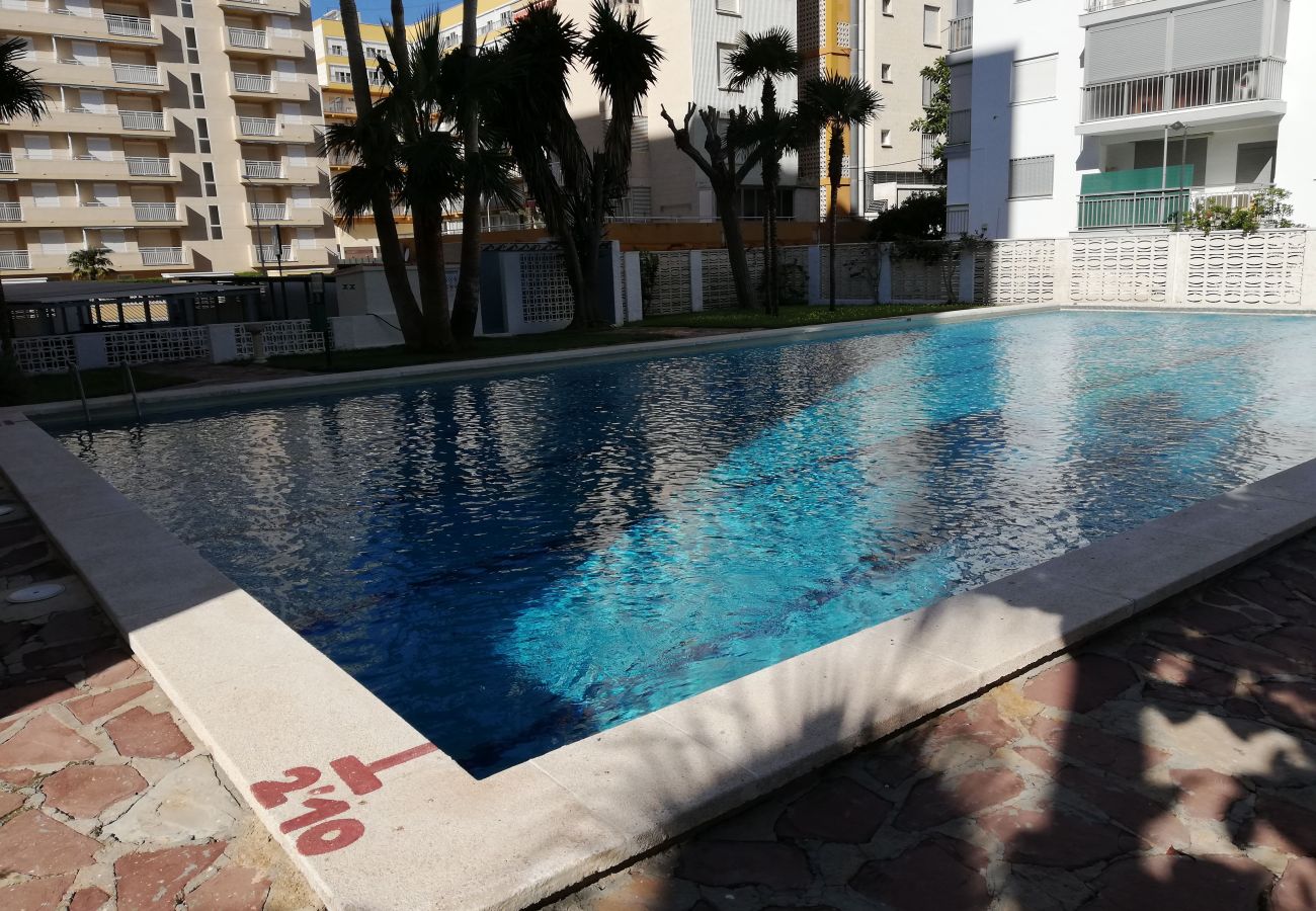 Apartamento en Playa de Gandía - 1.Manacor esc.I 8º pta.15