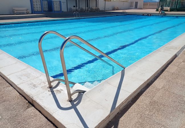 Apartamento en Playa de Gandía - 1.Bahamas I esc.II 8º pta.15 Apartamento en Playa de Gandía - 1.Bahamas I esc.II 8º pta.15