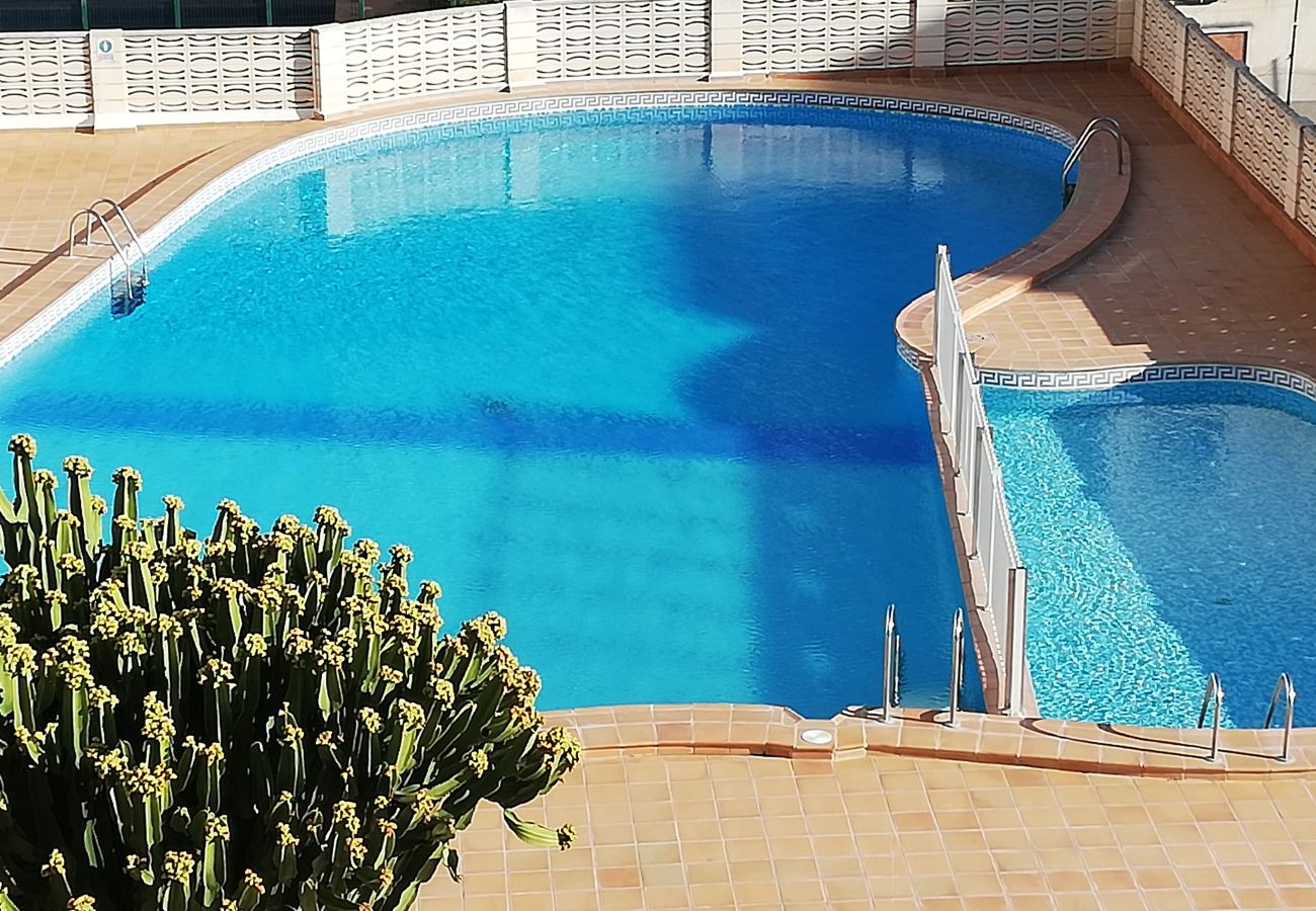 Apartamento en Playa de Gandía - 1.Bonaire D-8º