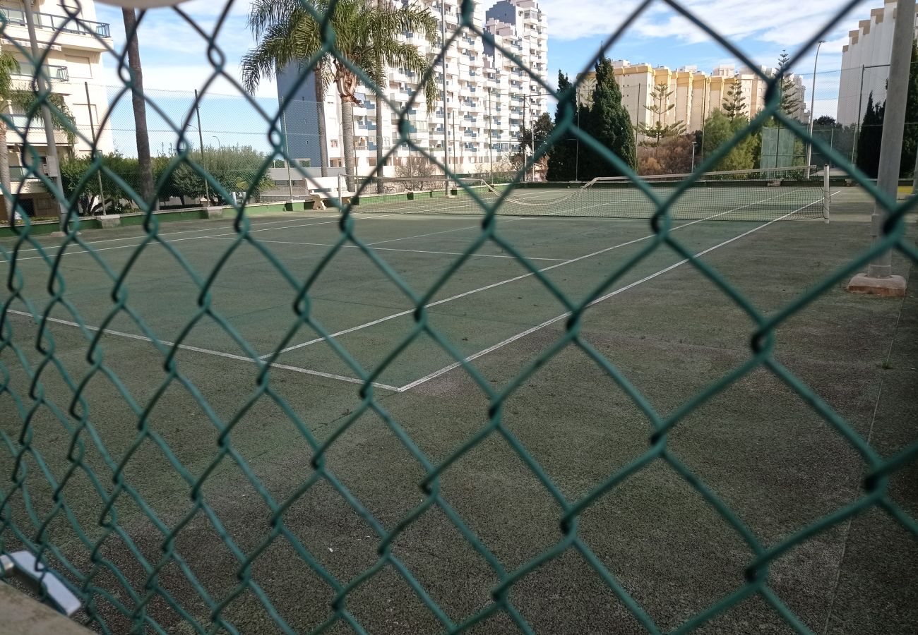 Apartamento en Playa de Gandía - 1.Rioja Salinas III esc.2 5º D