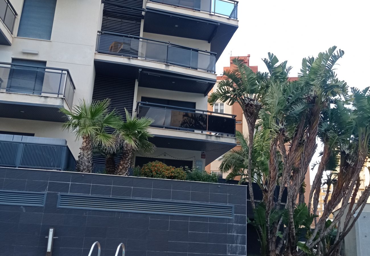 Apartamento en Playa de Gandía - Bahia 8º Solo Familias!