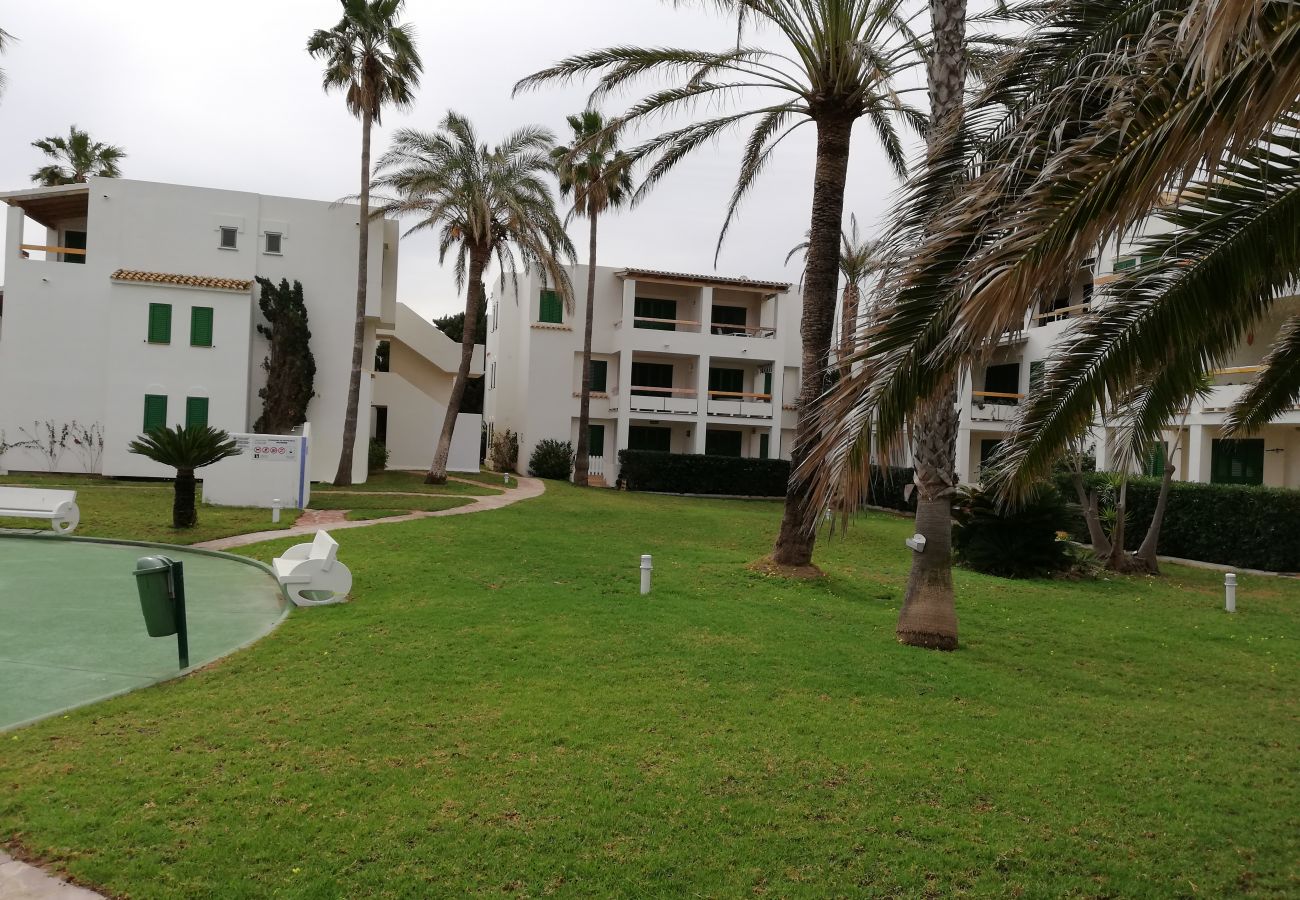 Ferienwohnung in Playa de Xeraco - Deltamar 44