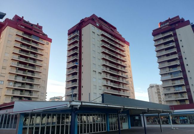 Ferienwohnung in Playa de Gandía - 1.Danio 5ºA (garaje 58) Ferienwohnung in Playa de Gandía - 1.Danio 5ºA (garaje 58)