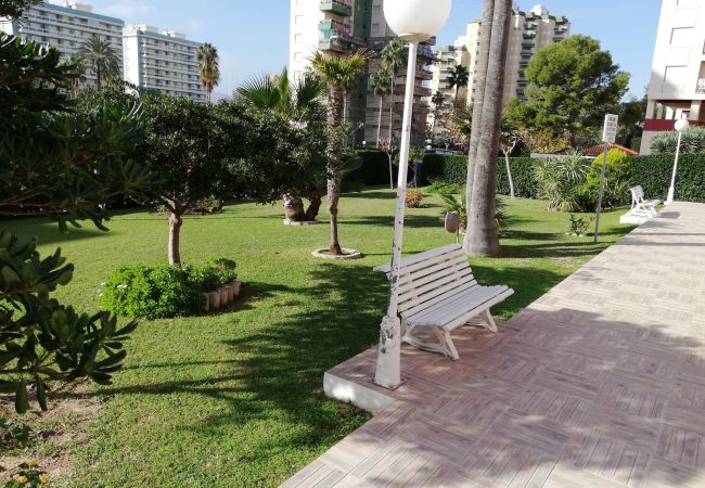 Ferienwohnung in Playa de Gandía - 1.Don Ximo 5º pta 32 Ferienwohnung in Playa de Gandía - 1.Don Ximo 5º pta 32