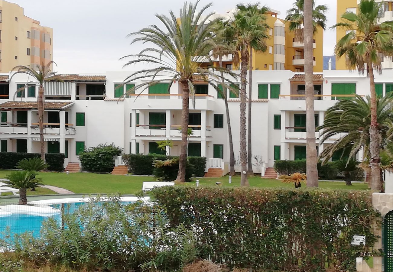 Ferienwohnung in Playa de Xeraco - Deltamar 30