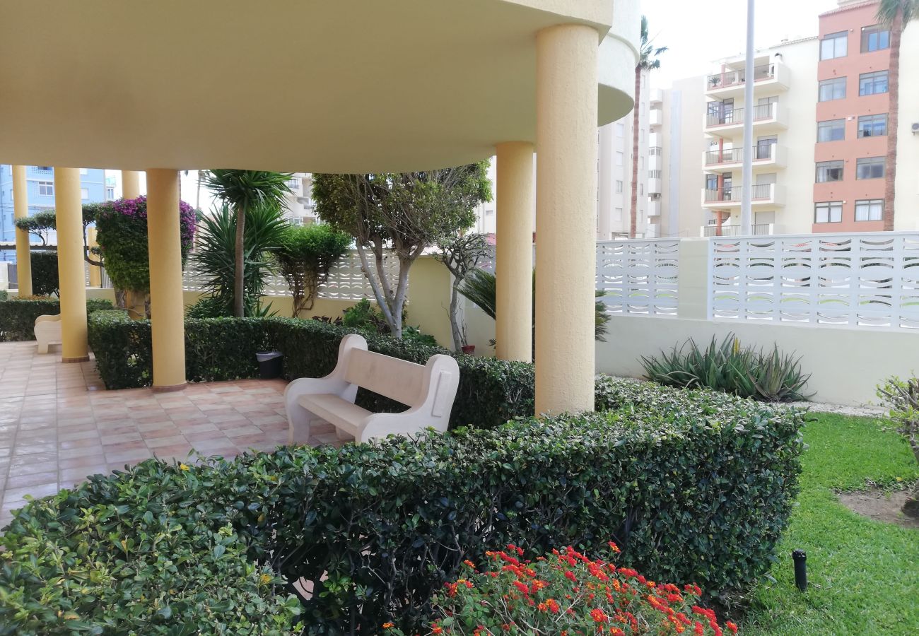 Ferienwohnung in Playa de Xeraco - Bitácora II esc.II 4º pta.7 Solo Familias! 