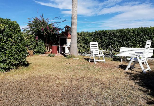 Ferienwohnung in Xeraco Playa - 4.Oasis bl.II esc. Ext. bajo Norte Ferienwohnung in Xeraco Playa - 4.Oasis bl.II esc. Ext. bajo Norte