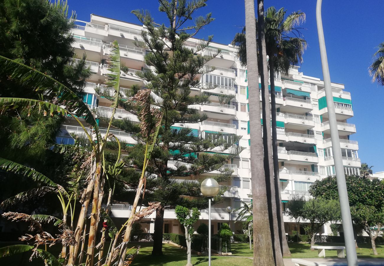 Ferienwohnung in Playa de Gandía - 1.Parque IV esc. 1 1º pta 1